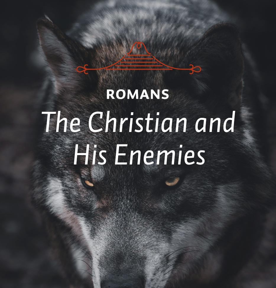 The Christian and His Enemies